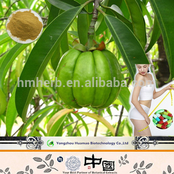 Natural Garcinia Combojia extract HCL